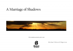 A Marriage of Shadows image